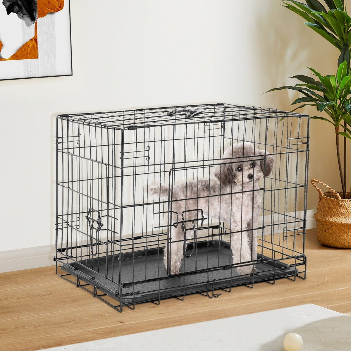 Folding Wire Dog Crate in 24, 30 or 36 Inches with Divider, Removable Tray and Door Options — image 9