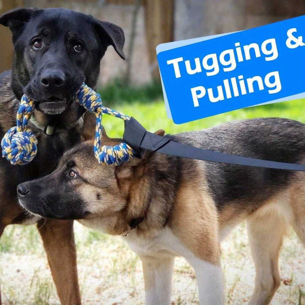 Dog Toy Outdoor Hanging Bungee Tug with Adjustable 19.7-Foot Elastic Cord, Soft Loop and Chew Rope — image 5