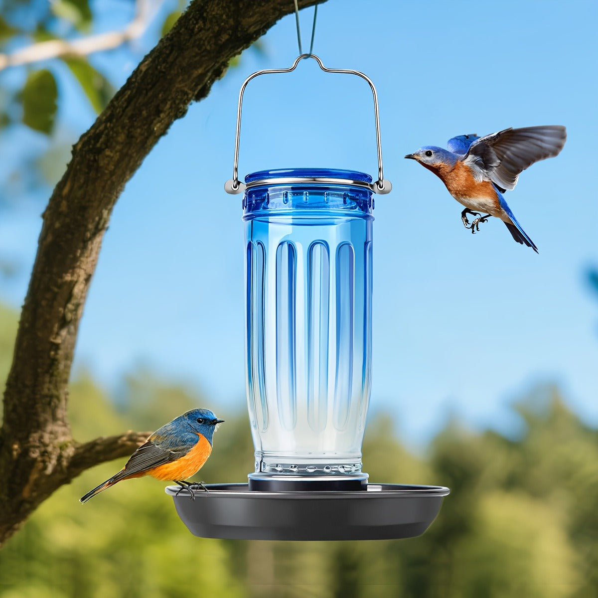 Bird Waterer Outdoor Hanging Glass Wild Bird Water Dispenser with Metal Handle – Gravity Fed Garden Yard Patio Tree Bird Feed