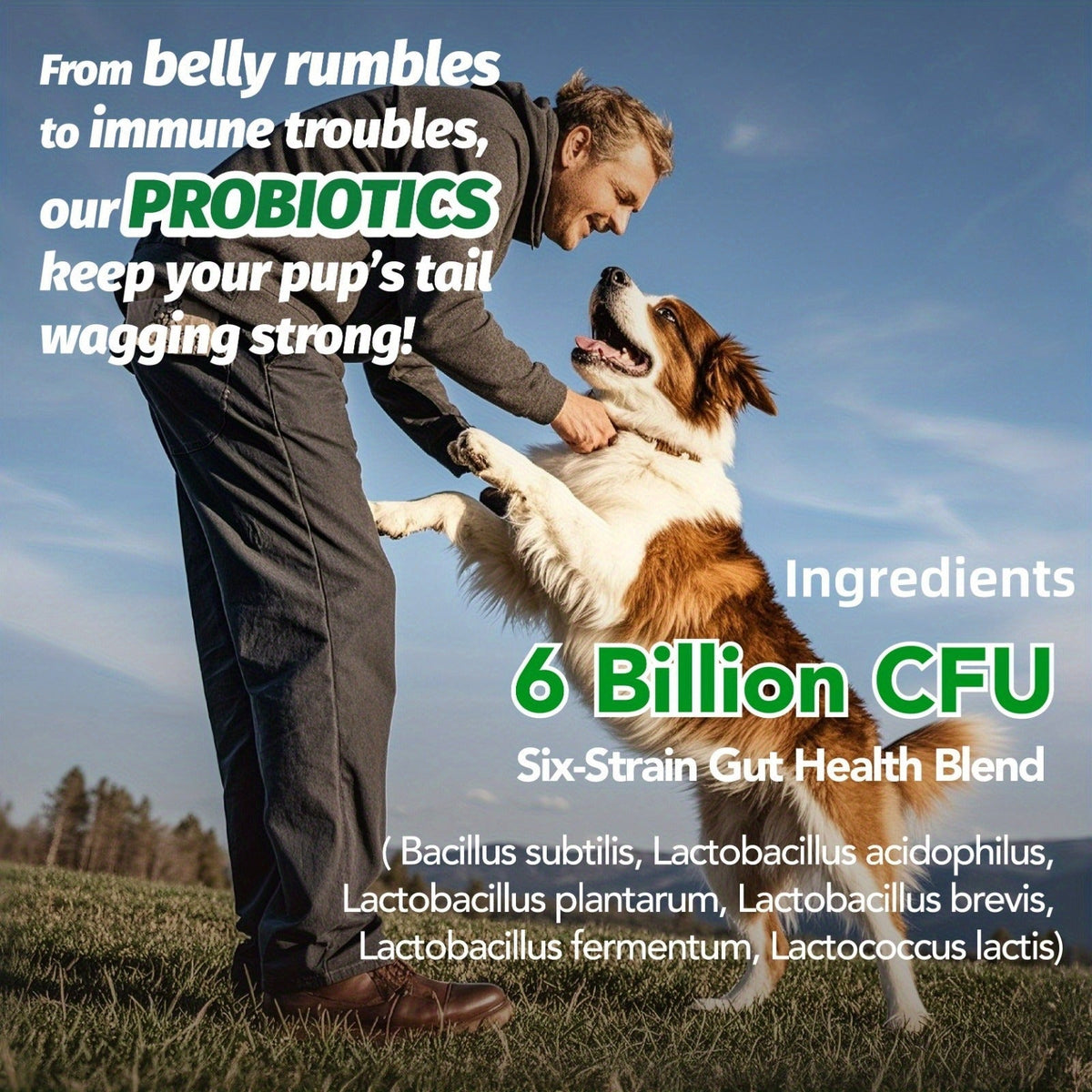 Dog Probiotic Soft Chews, Chicken Flavor, 90-Count Bottle with One- or Three-Bottle Checkout Options — image 5
