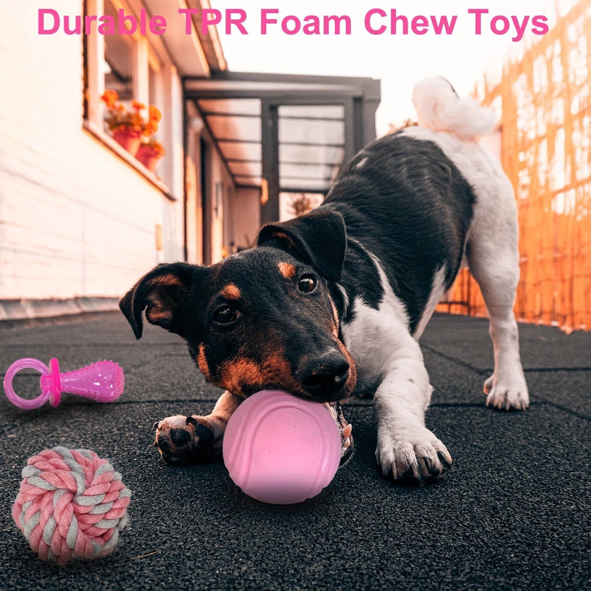 Dog Toy Pink Puppy Chew Bundle with Textured Toothbrush Shapes and Balls in Random 5 or 8 Pieces — image 8