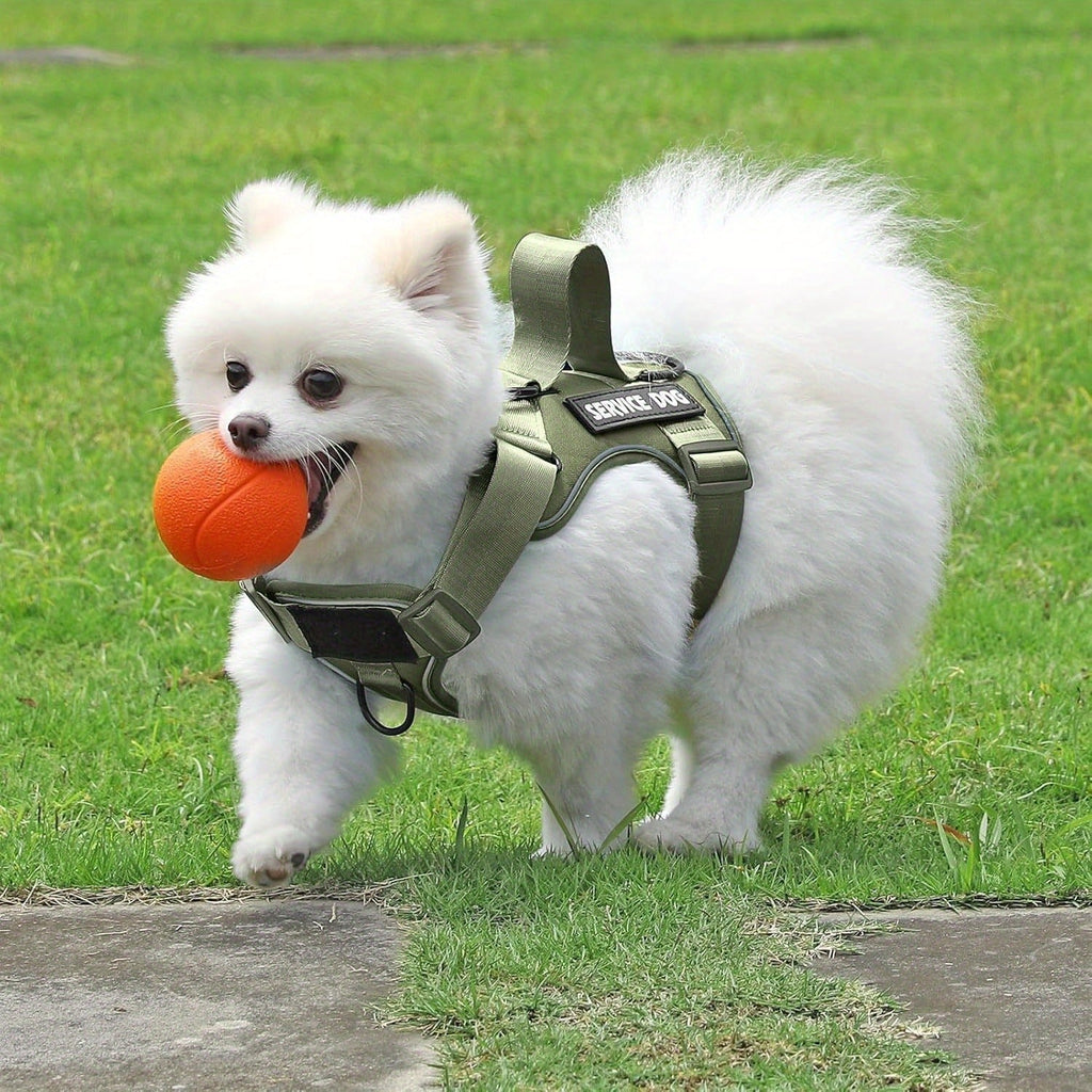 Compact Patch Dog Harness in Black and Three Green Styles with S, M, L and XL Size Options — image 10