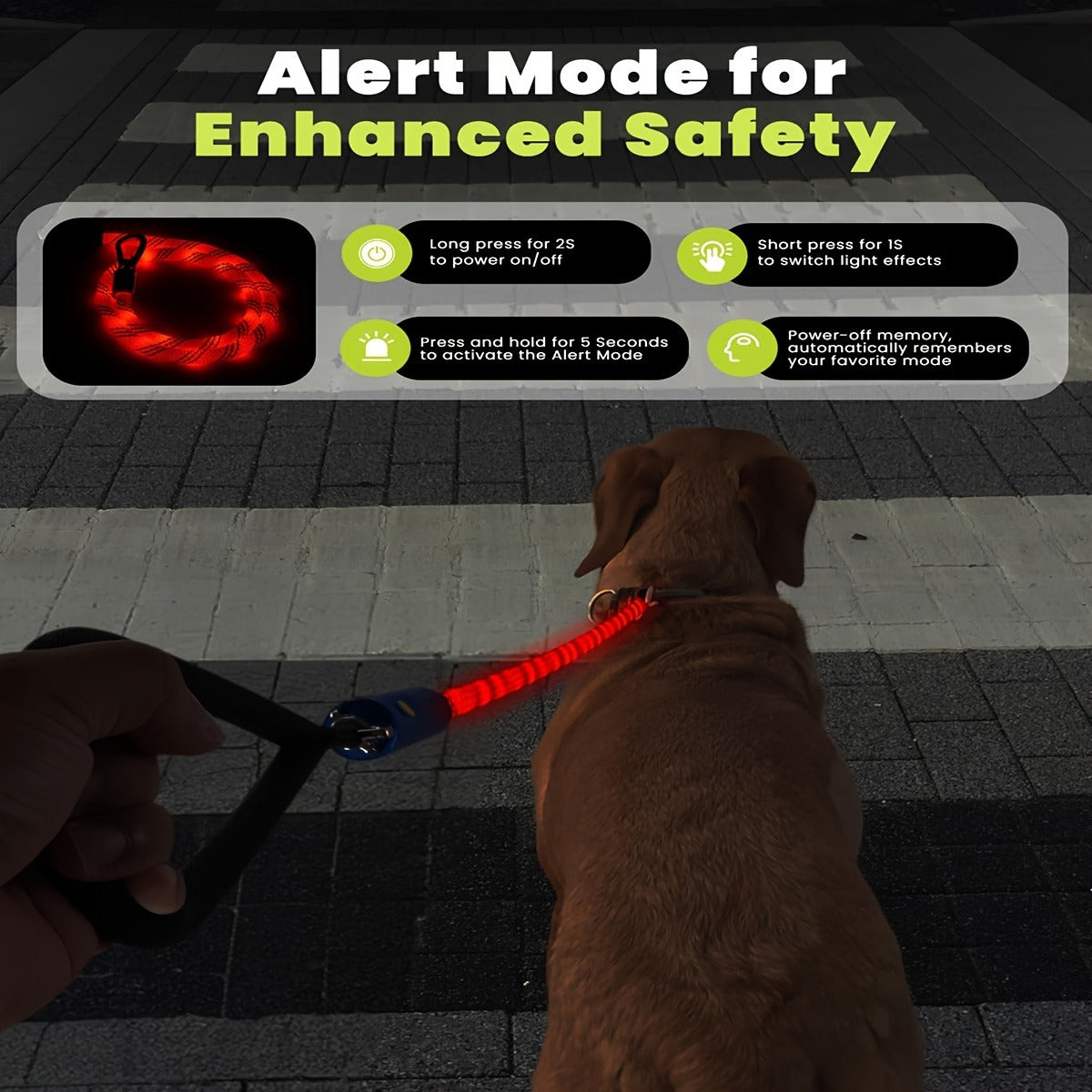 Four-Foot LED Dog Leash with Rechargeable Multicolor Light Strip, Rotating Hook and 13 Pictured Modes — image 7
