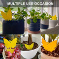 Yellow Butterfly or Gerbera Plant Sticky Traps in Seven Shape-and-Count Options from 40 to 120 Pieces — image 4