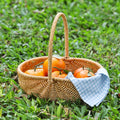 Handwoven Rattan Storage Basket with Carry Handle in Light Brown Medium Drain-Basket Format — image 1