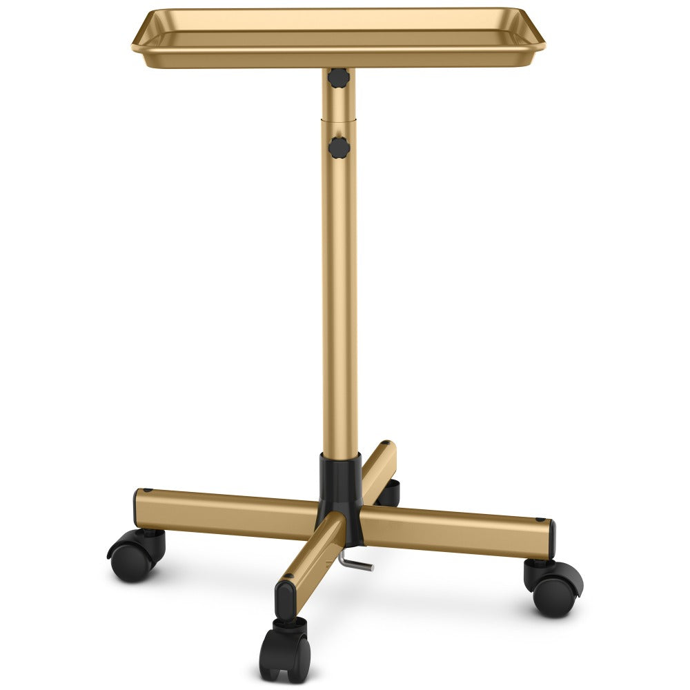 Rolling Salon Tray Cart on Wheels Adjustable Height 17.9x12.8 Inch Mobile Stylist Tray Table for Spa Tattoo Studio Blowdry Ba