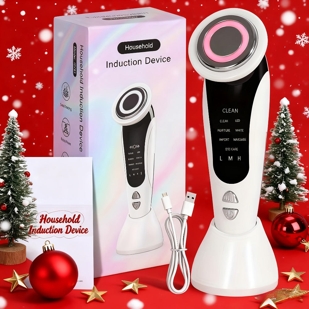 4-in-1 LED Face Neck Massager USB Powered Vibration Facial Lifting Device - Handle Portable Beauty Tool for Home or Salon Spa
