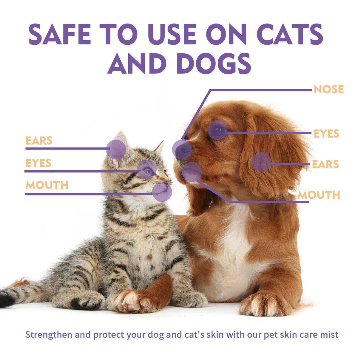 Pet Skin Relief Spray, Relieves Dog And Cat Skin Itchiness Eliminates Mites Cleaning Care Spray