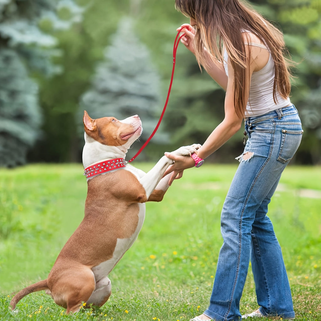 Rivet-Studded Dog Collar and Matching Leash Set with Metal Buckle, Five Colors and XS–XXL Sizing — image 4
