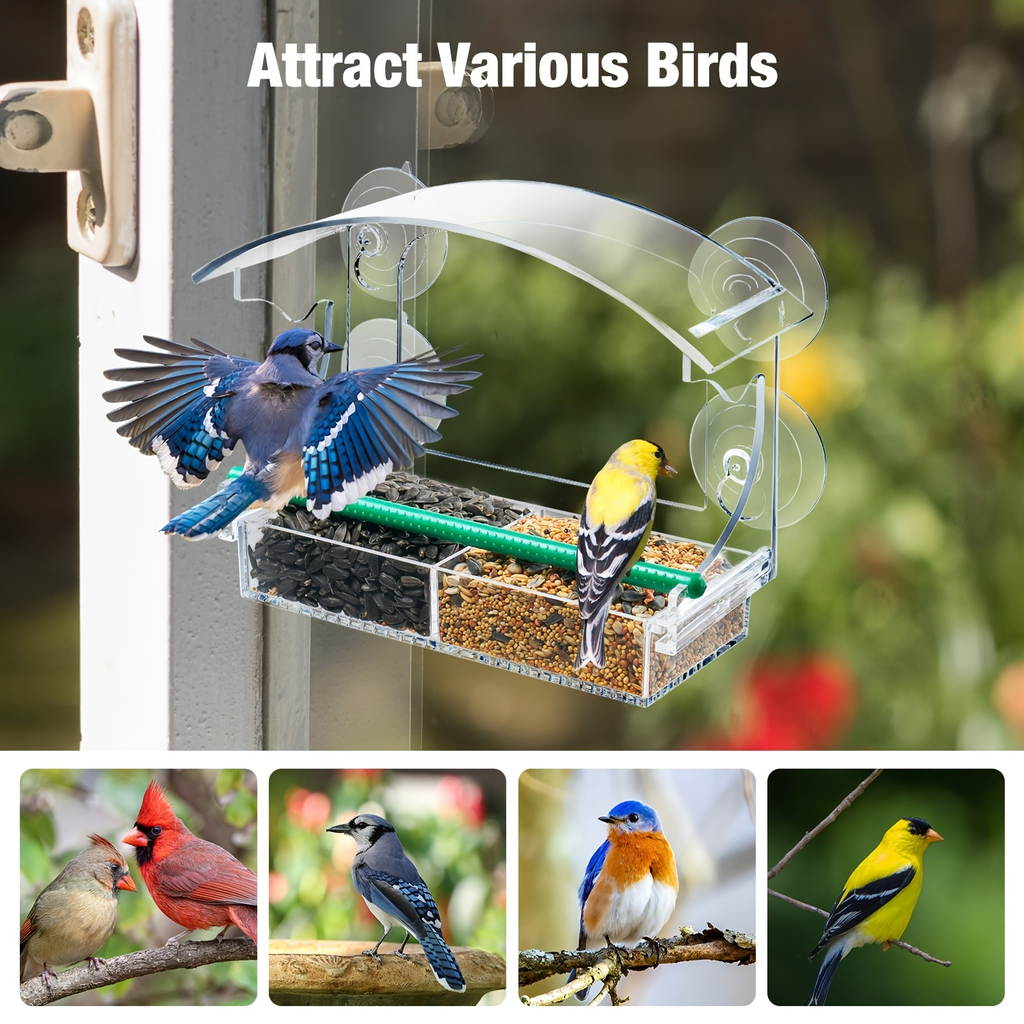 Window Bird Feeder - Clear Acrylic Suction Cup Bird Feeder for Birdwatching — image 2