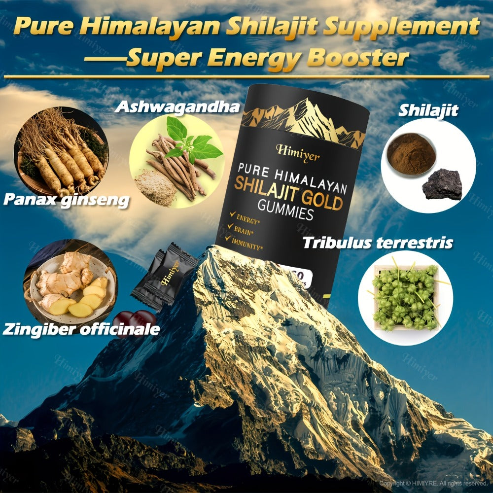Shilajit Supplement 3000mg with Ginger, Ginseng & Ashwagandha – Pure Fulvic Acid & Multi-Mineral Phytonutrient Formula for En