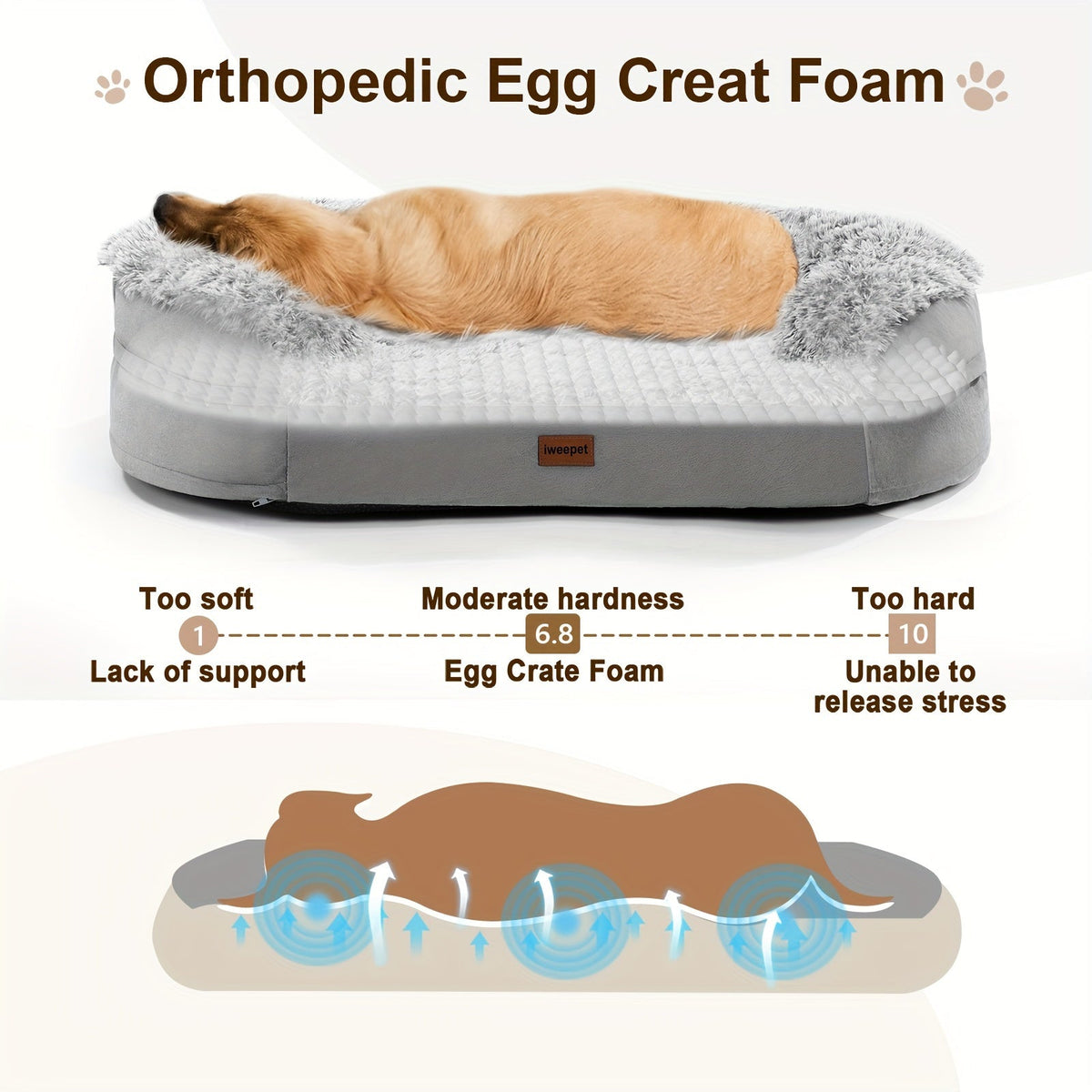 Egg-Crate Foam Dog Bed with Plush Bolsters and Rectangle or Semicircle Large-Size Shape Options — image 3