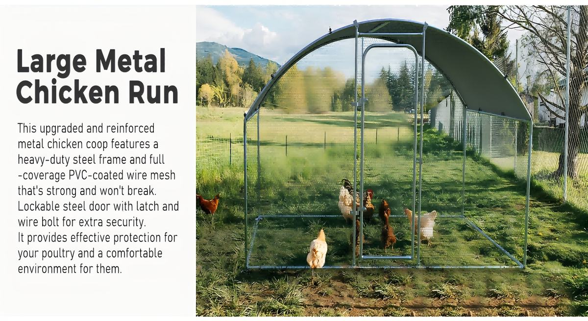 Walk-in Chicken Pen Large Metal Outdoor Poultry Enclosure Cover Yard Cage for Chickens Ducks Rabbits 3 Sizes Available — imag