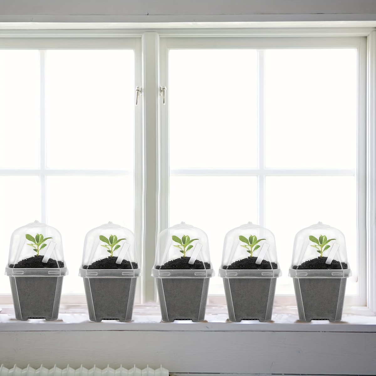 Clear Nursery Pots 3 Inch with Humidity Dome Lids 30pcs | Stackable Seed Starter Pots | Built-In Labels | Succulents Seedling