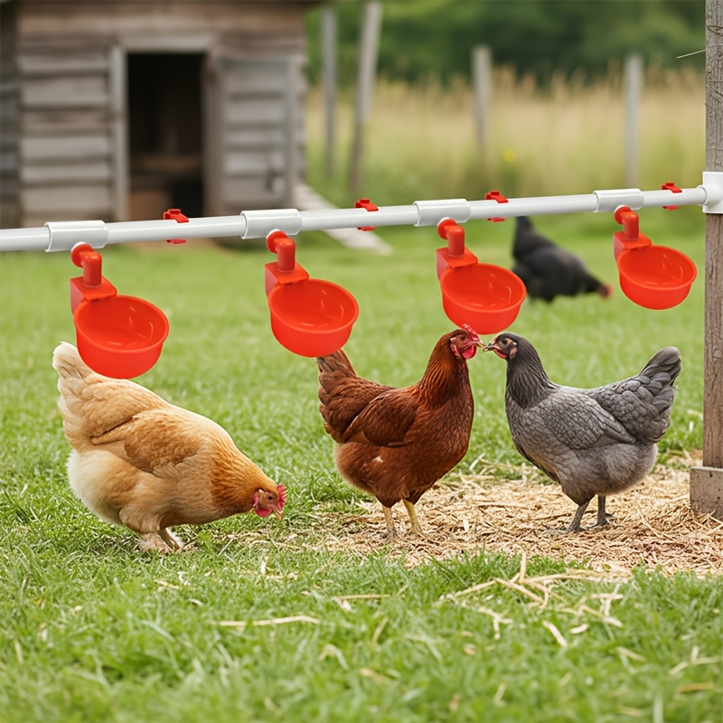 Automatic Poultry Watering System Kit with 10 Red Cups, PVC Pipe Fittings, Regulator and Hose Connections — image 4