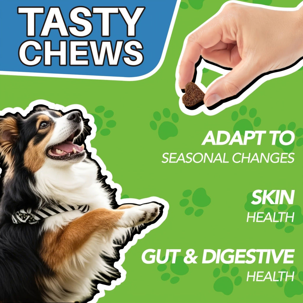 Dog Skin and Digestion Soft Chews with Colostrum, Fermentate and Astragalus, 90-Count Bottle — image 6