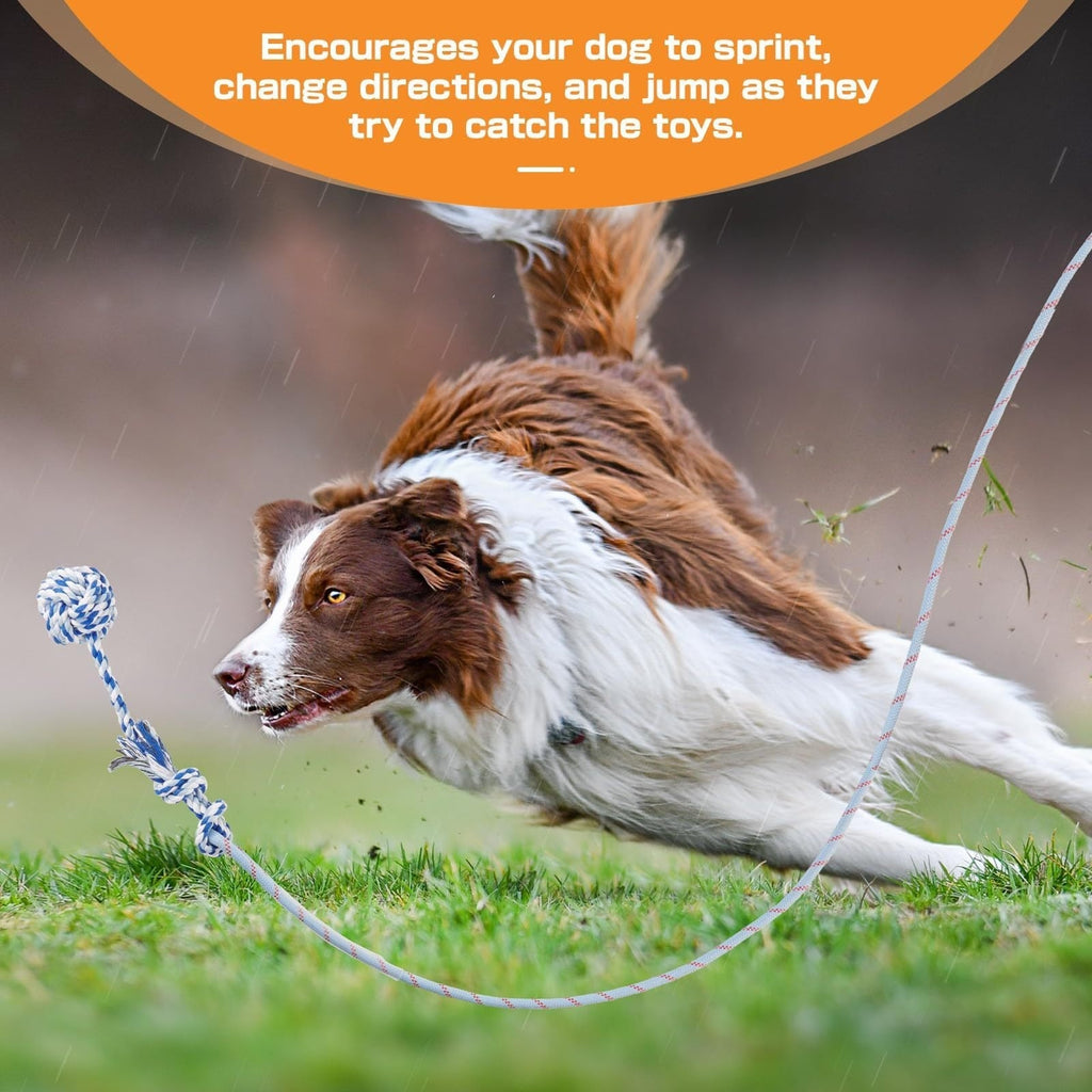 Dog Toy Telescopic Aluminum Flirt Pole with Reinforced Nylon Rope and Three Detachable Interactive Toys — image 8