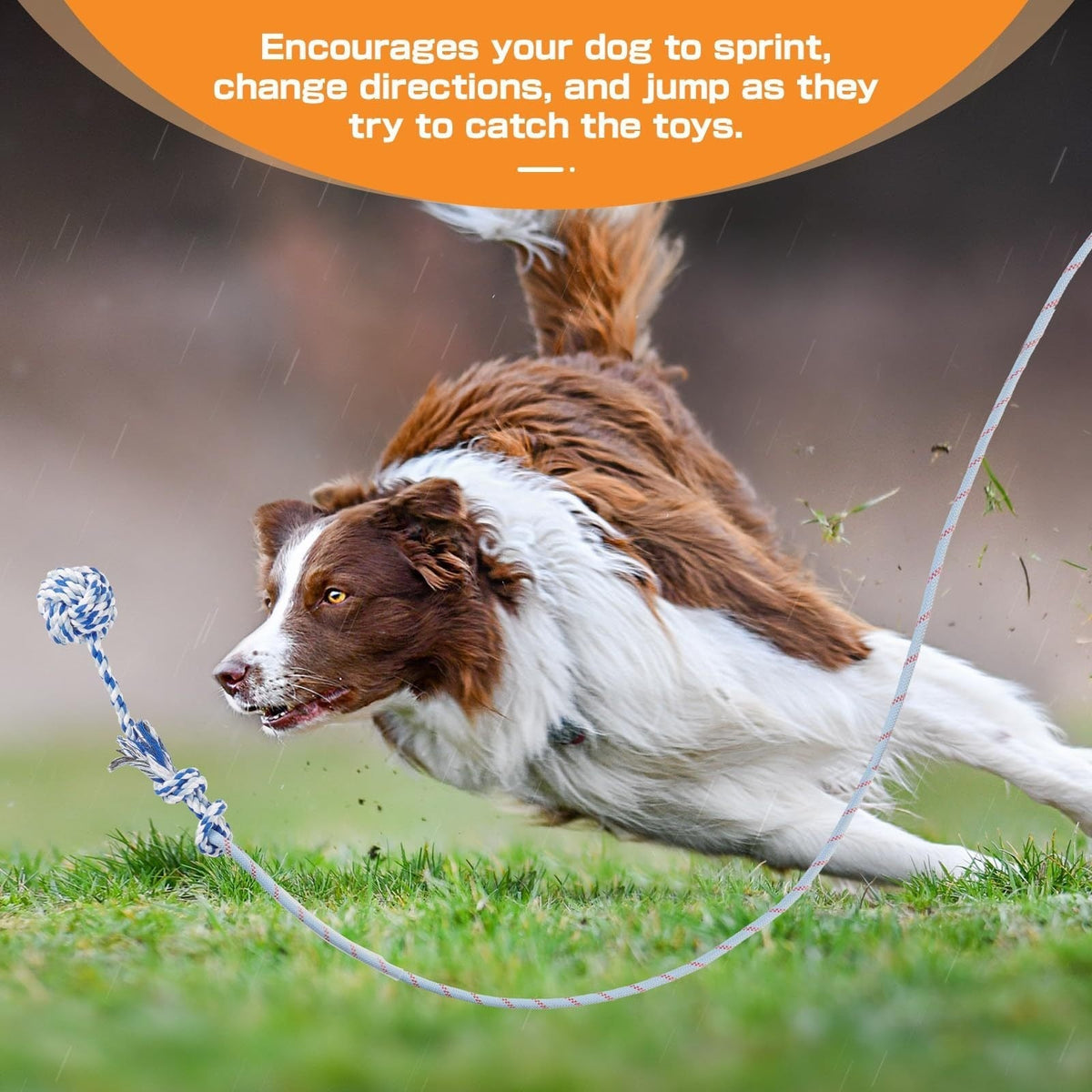 Dog Toy Telescopic Aluminum Flirt Pole with Reinforced Nylon Rope and Three Detachable Interactive Toys — image 8