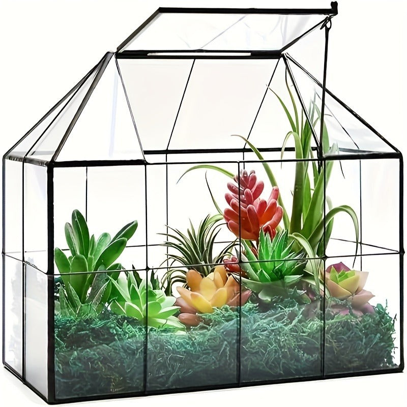 Geometric Glass Terrarium with Swing Lid 9.84x5.31x7.87 Inch Victorian Wardian Case for Succulents Cactus Air Plants Ferns In