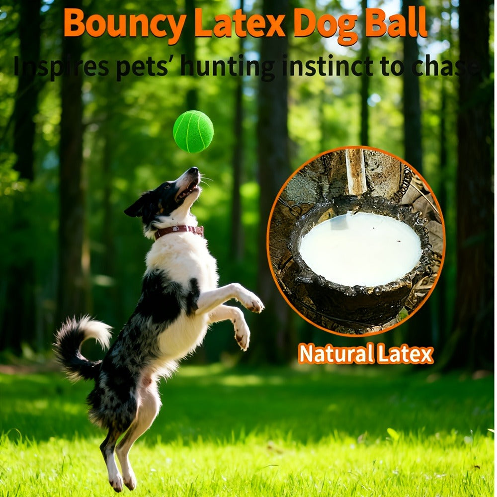 Dog Toy 4-Pack 2.8-Inch Latex Squeaky Sport Balls in Vibrant Colors for Puppies and Small Dogs — image 7