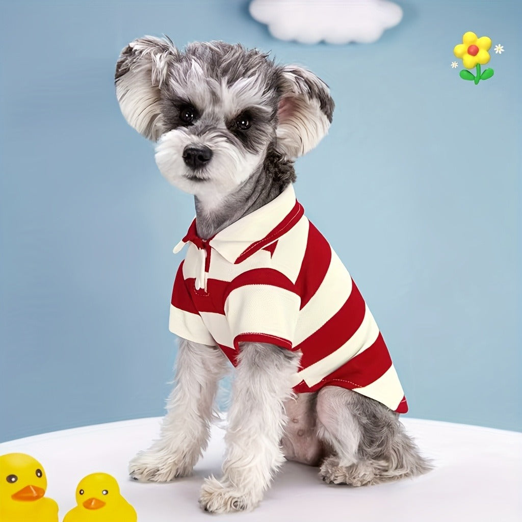 Five-Pack Striped Polo-Style Dog Shirts in Assorted Colors with Seven Size Choices from XS Through 4XL — image 7