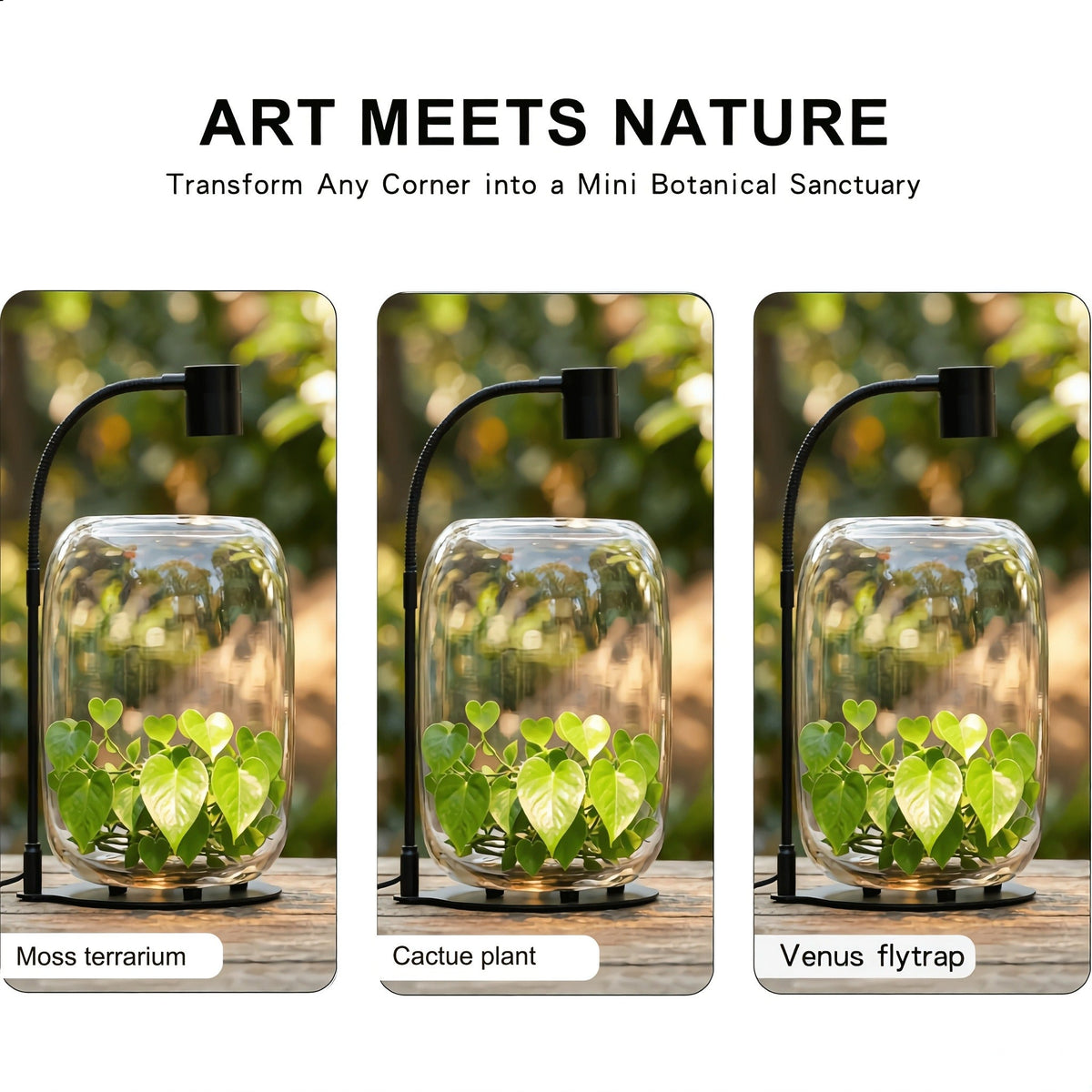 Glass Terrarium with USB Growth Light Open Top 15.9x8.7 Inch Transparent Vase for Moss Air Plants Succulents Indoor Garden Ho