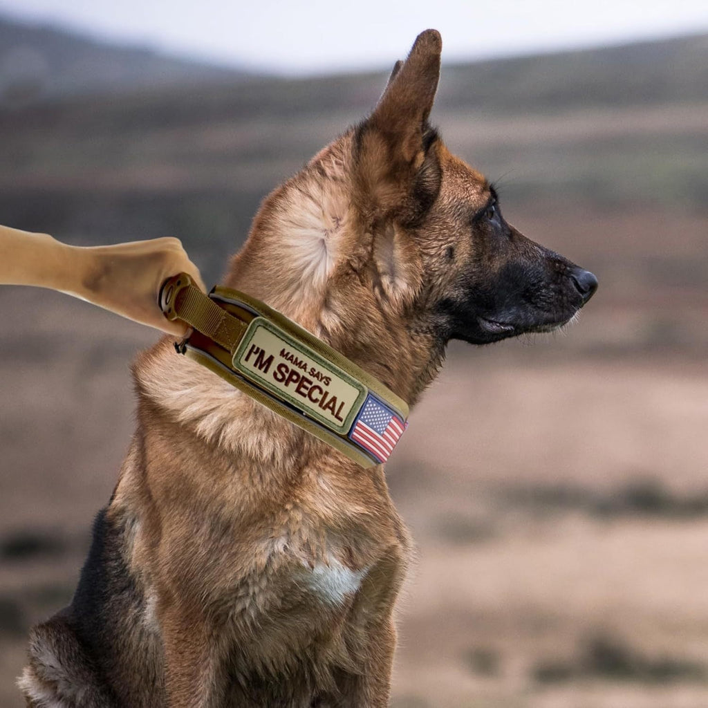 Wide Tactical Dog Collar with Padded Grab Handle, Reflective Stitching, Two Patches and M–XL Sizing — image 8