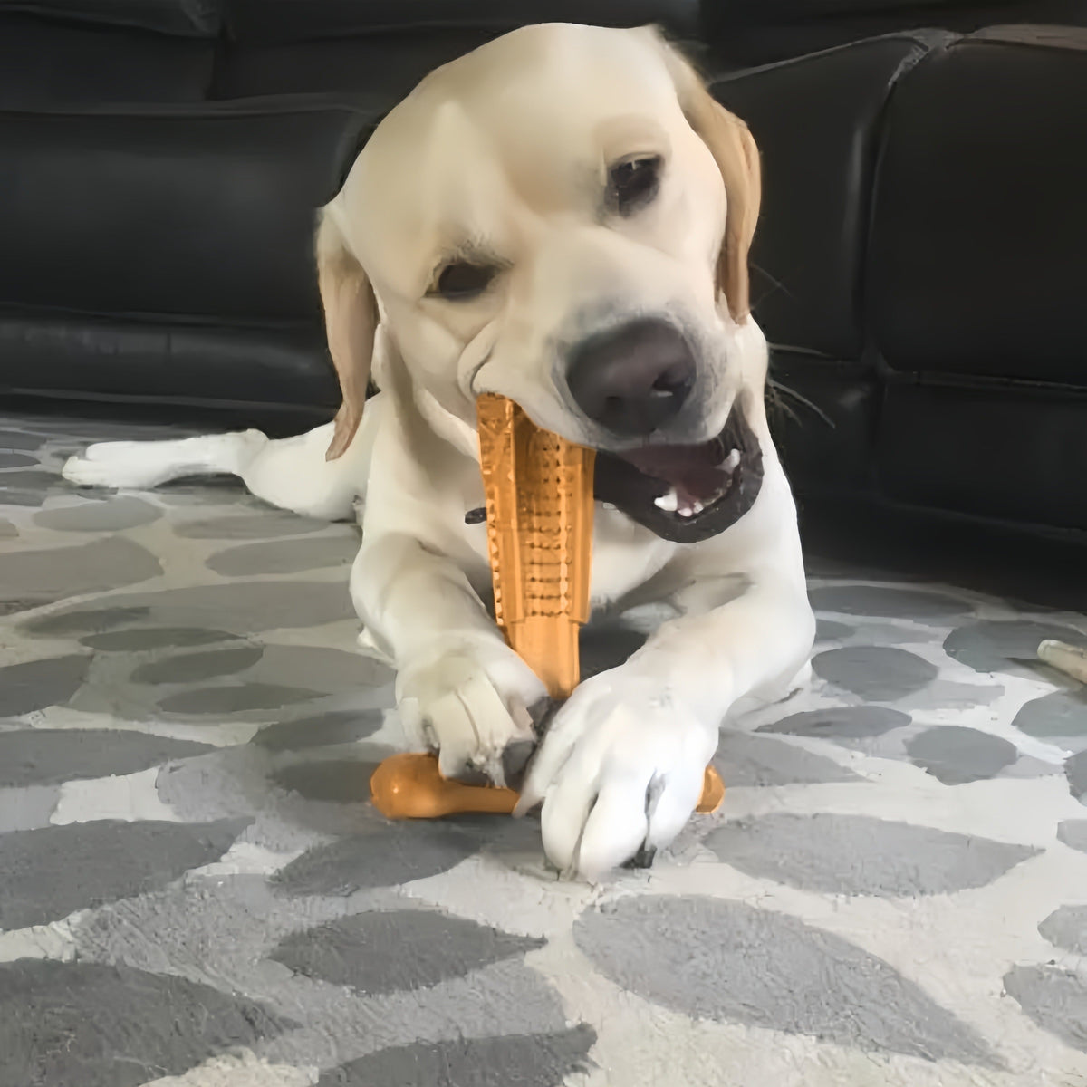 T-Shaped Textured Dog Chew Toy in Brown with Raised Nubs and Approx. 7.28 x 5.59-Inch Size — image 3