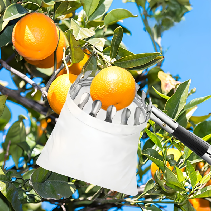 Stainless Steel Fruit Picker with Adjustable 63 to 157 Inch Extension Pole and Non-Slip Handle for Orchard Harvesting — image