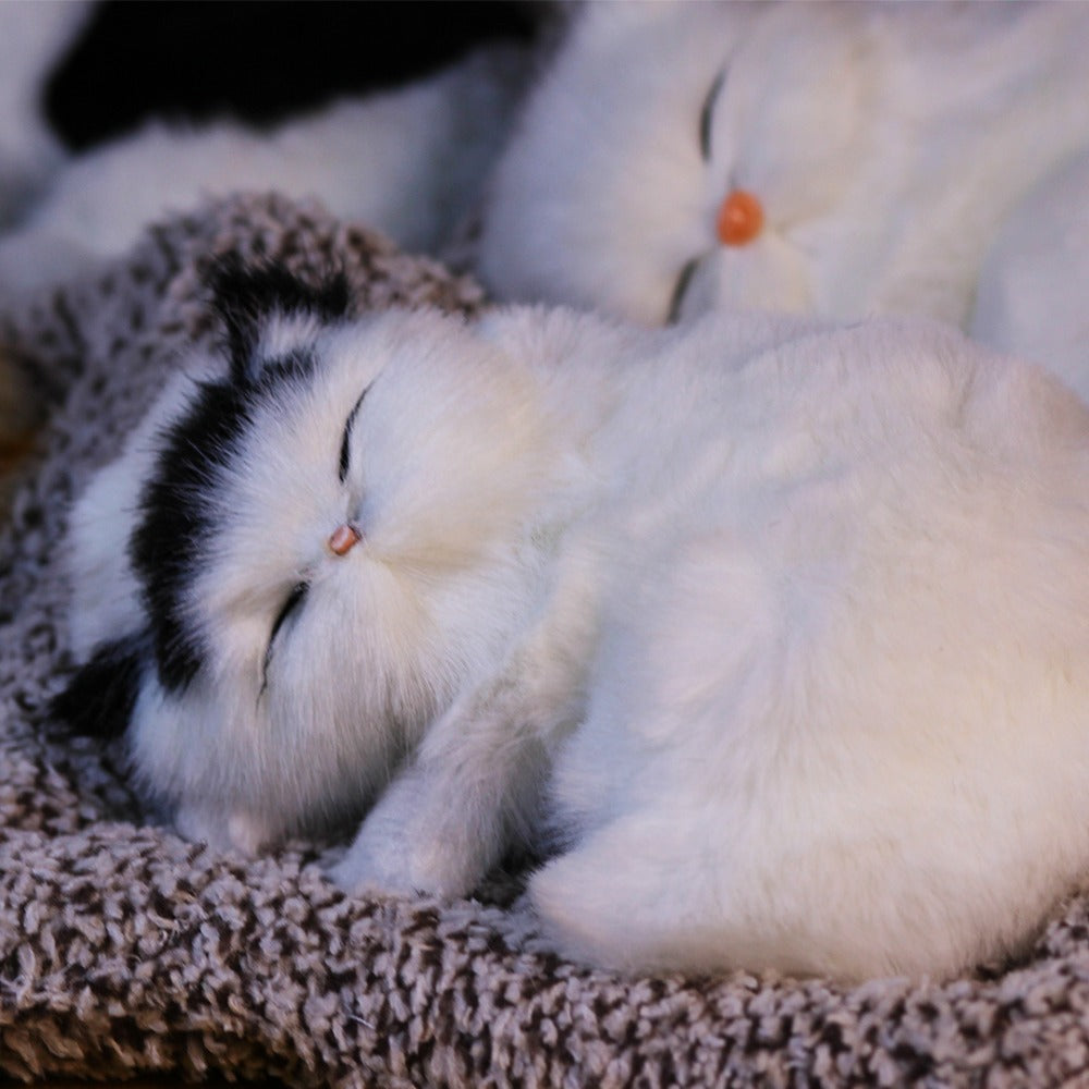 Plush Toy Realistic Sleeping Cat with Meow Sound in Four Coat Patterns for Desk or Room Display — image 14