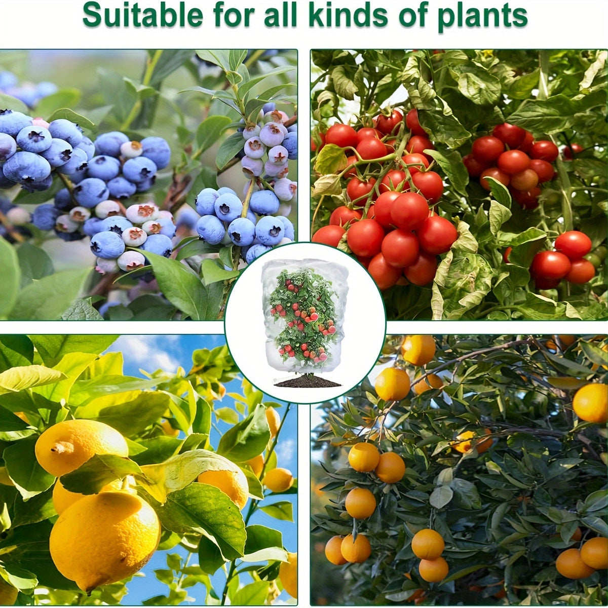 Garden Netting | Plant Protection Bags Drawstring Insect Bird Barrier — image 3