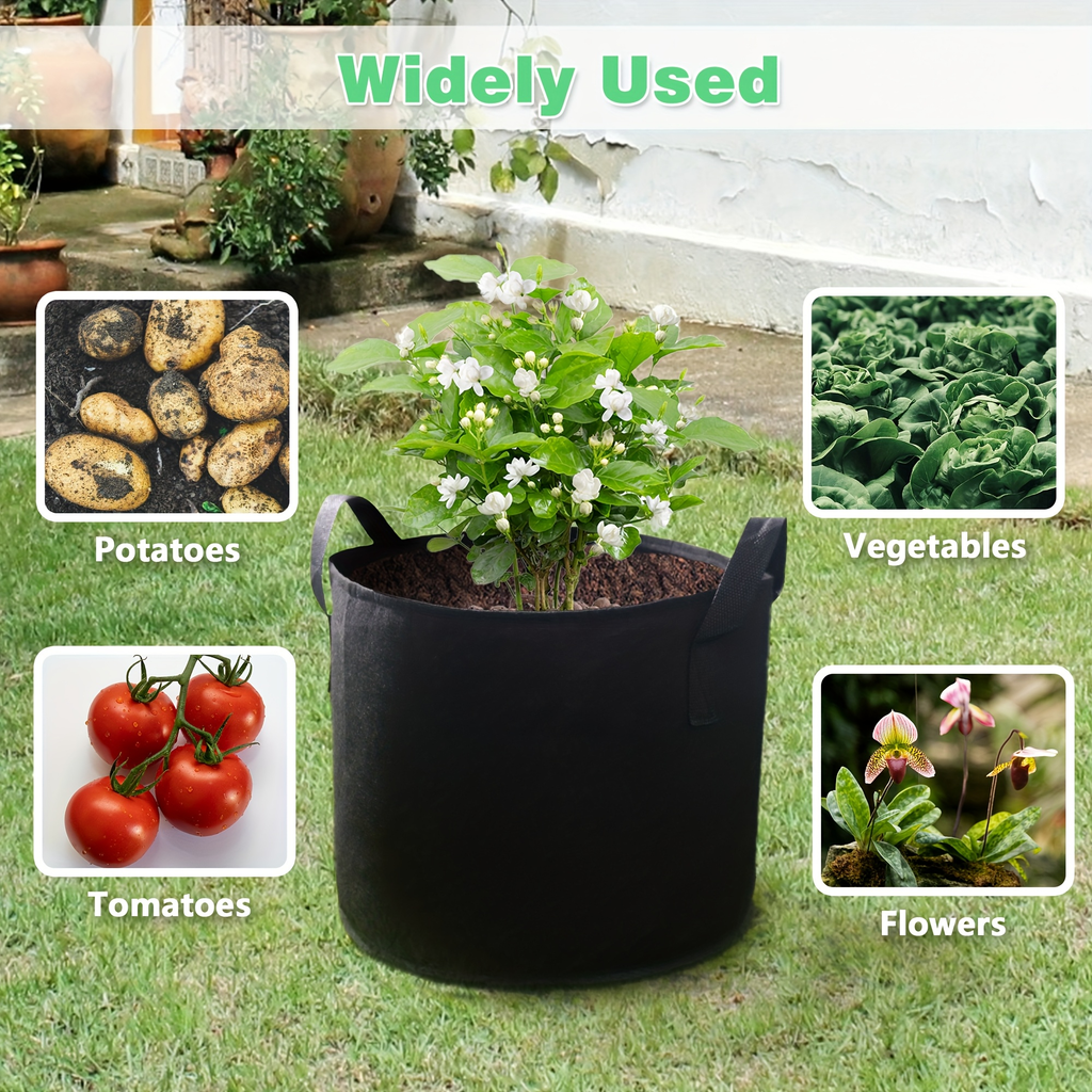 Four-Pack Black Grow Bags with Handles in 5-Gallon or 10-Gallon-Labeled Size Options for Container Gardening — image 6