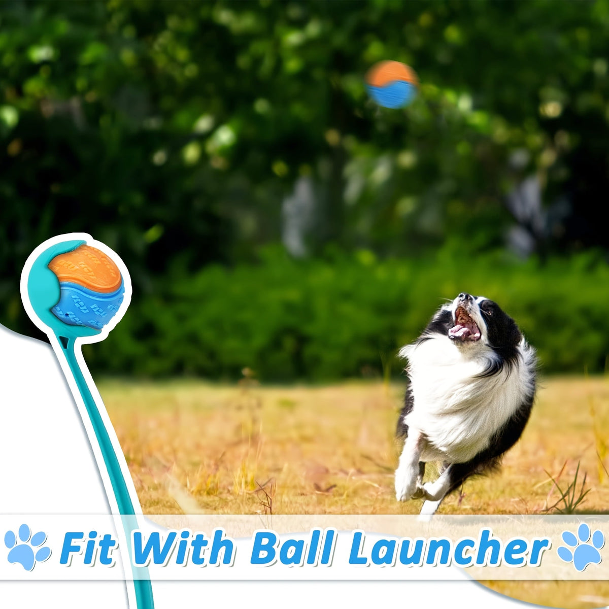 Dog Toy 6-Pack Squeaky High-Bounce Rubber Balls, 2.5-Inch Size and Standard Launcher Compatibility — image 4