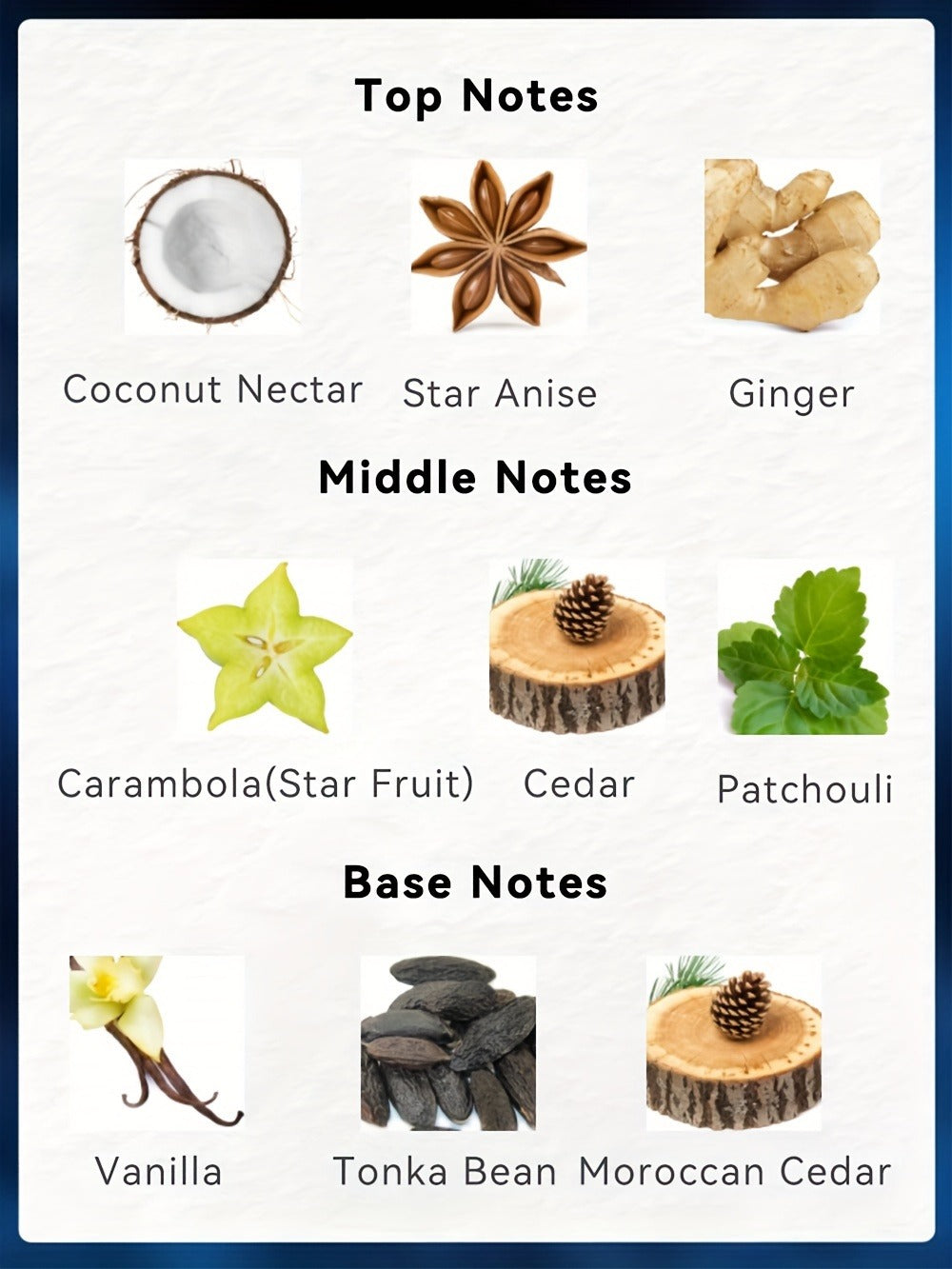 Men's Eau de Toilette Spray 3.4 oz 100 ml with Coconut, Star Anise and Ginger Scent Labels — image 8
