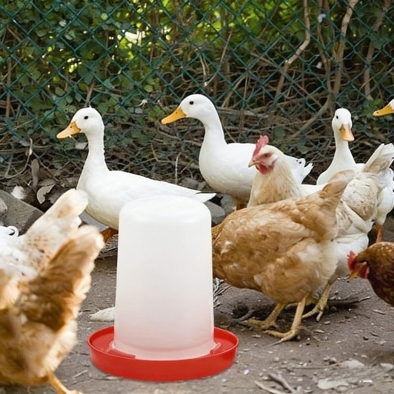 Chicken Feeder and Waterer Set, 18-Hole Anti-Spoil Trough Feeder + Water Dispenser for Chicks, Brooder & Backyard Poultry — i