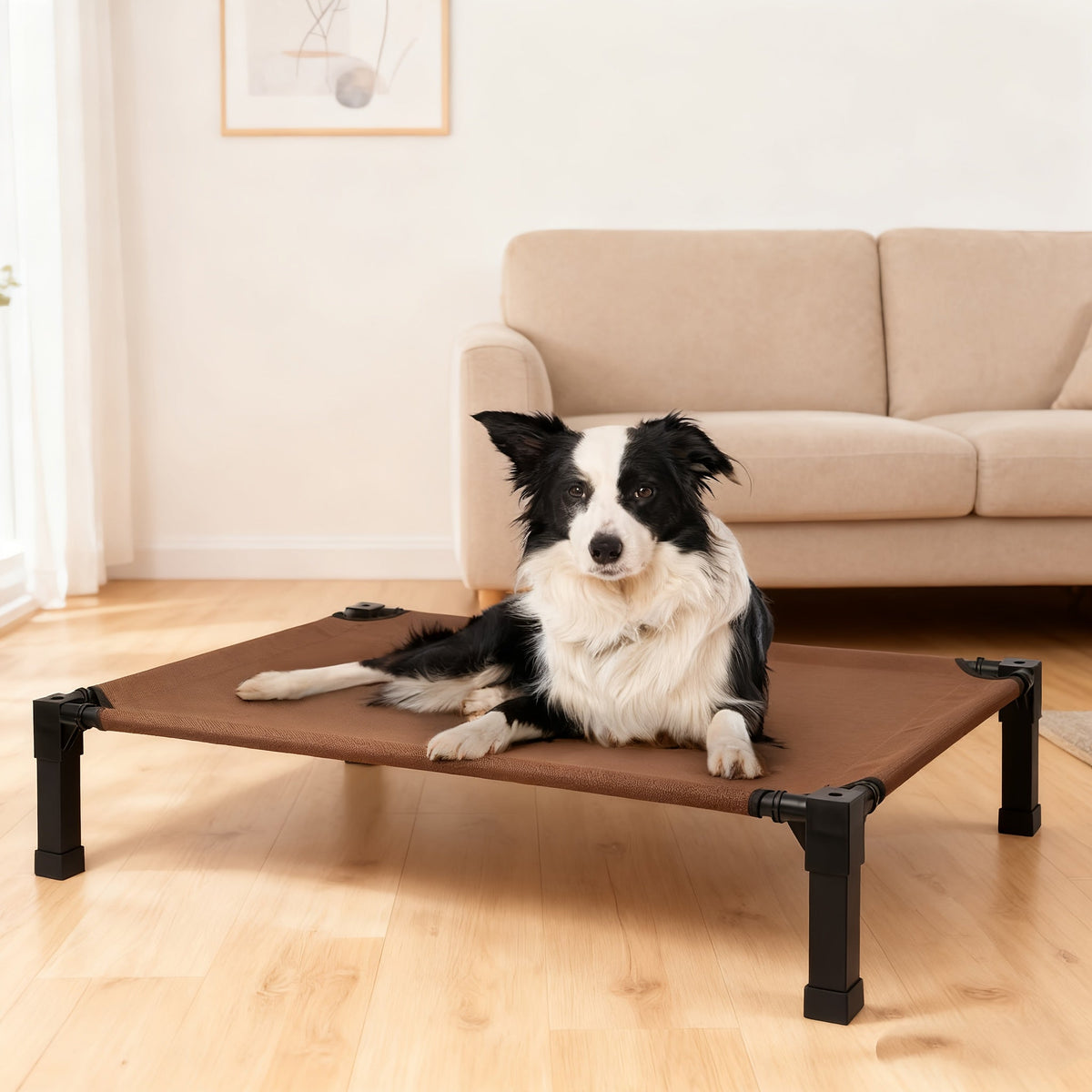 Elevated Mesh Dog Cot Bed with Folding-Leg Frame, Seven Colors and Four Labeled Sizes from 35 to 60 Inches — image 11