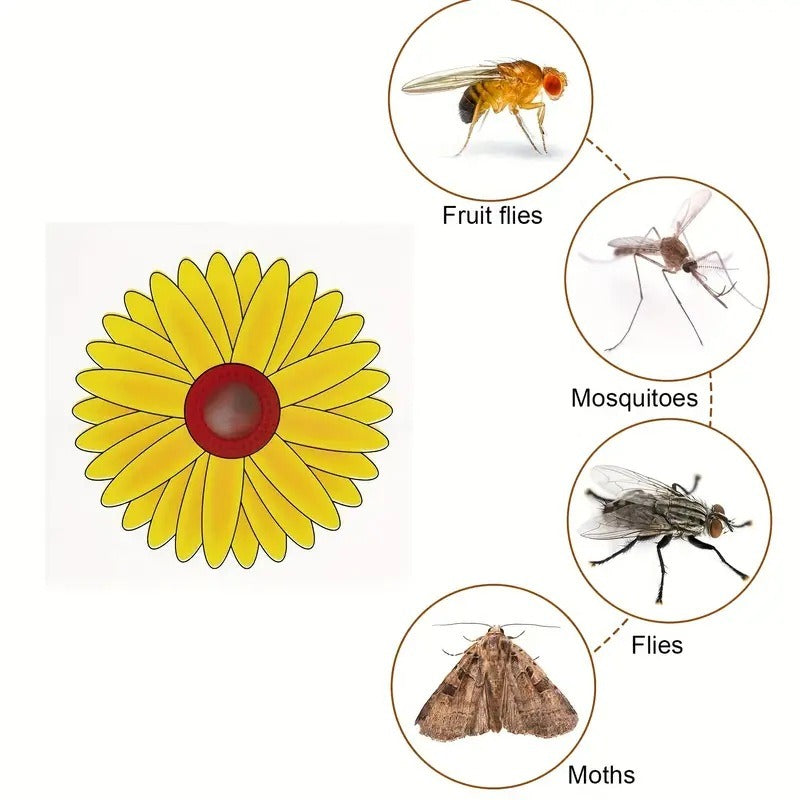 Window Fruit Fly Traps with Strong Stickiness Indoor use Sunflower Window Fly Stickers
