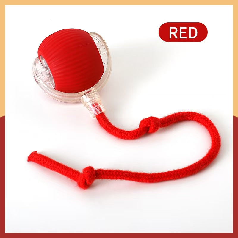New Design 360° Smart Automatic Interactive Dog Smart Ball Toy Interactive Cat Toys Rolling Ball with USB Charger - V.I.P Digital Presence