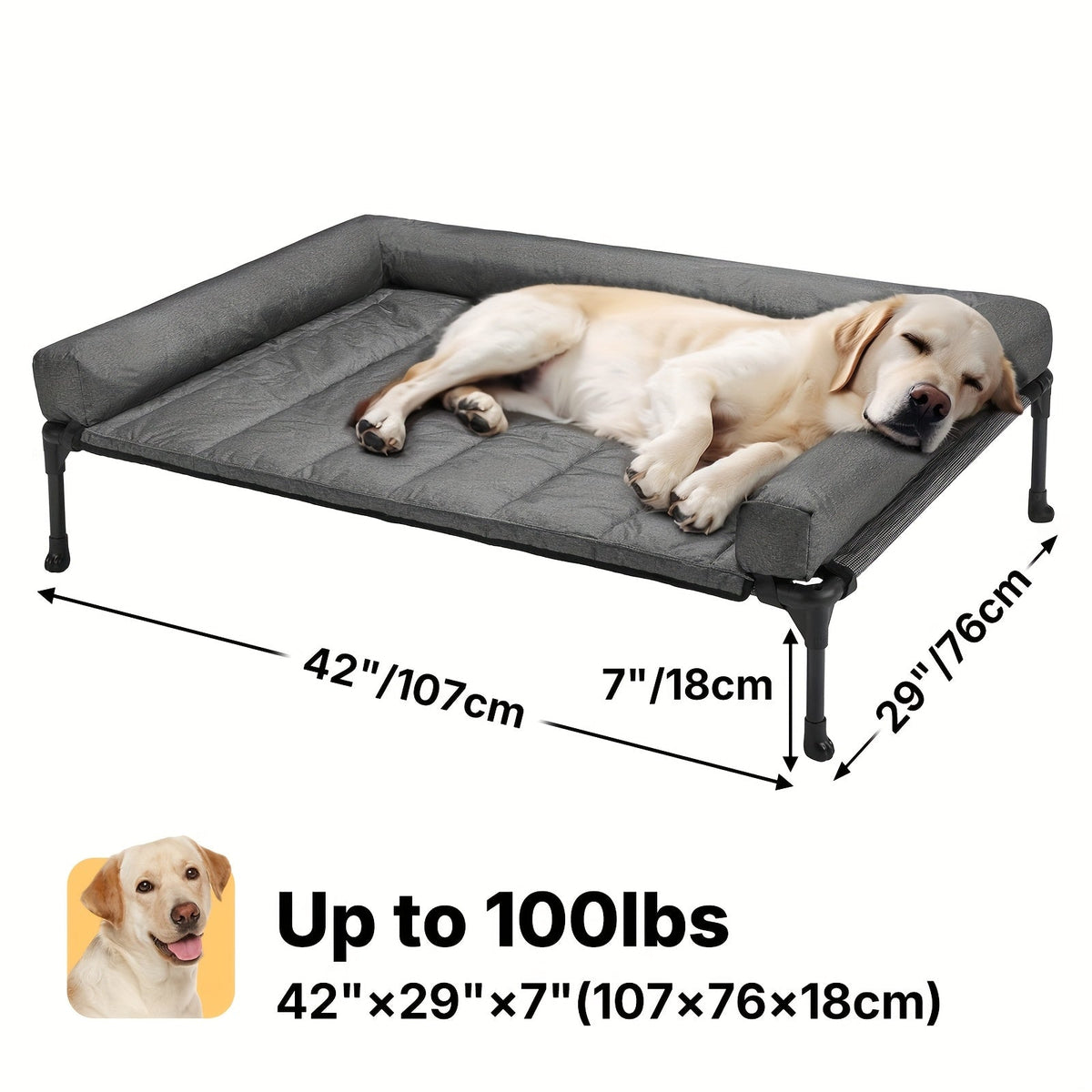 Elevated Dog Bed with Teslin Mesh Cot, Powder-Coated Steel Frame and Removable Bolster Top in Four Sizes — image 30