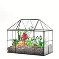 Geometric Glass Terrarium with Swing Lid 9.84x5.31x7.87 Inch Victorian Wardian Case for Succulents Cactus Air Plants Ferns In
