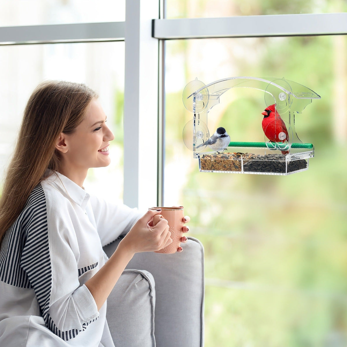 Window Bird Feeder - Clear Acrylic Suction Cup Bird Feeder for Birdwatching — image 7