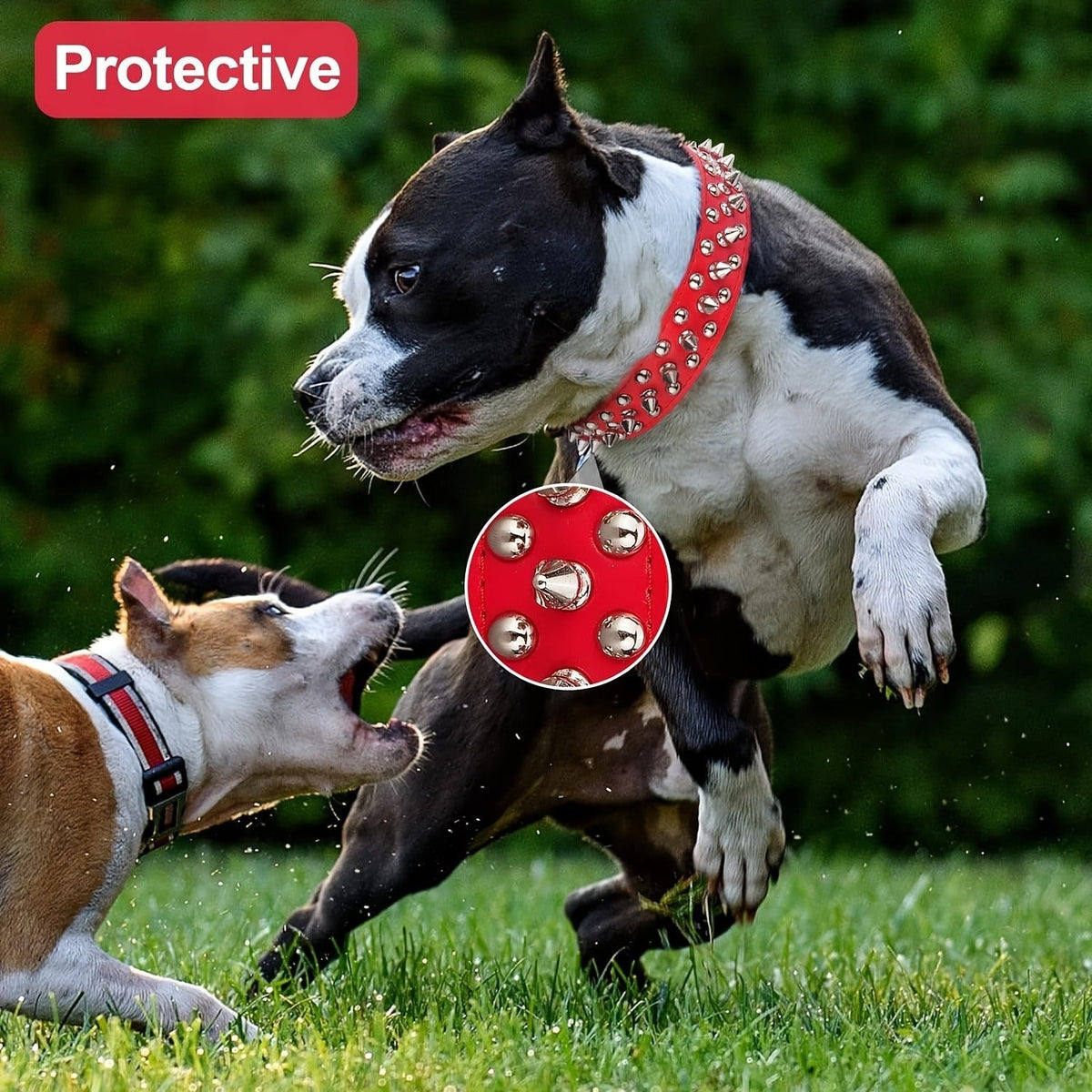 Rivet-Studded Dog Collar and Matching Leash Set with Metal Buckle, Five Colors and XS–XXL Sizing — image 12