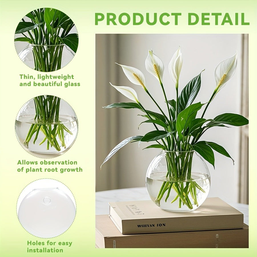 Wall Hanging Glass Terrarium Planter Oblate Flower Vase for Hydroponics Plants Bathroom Home Office Living Room Decor Set of 
