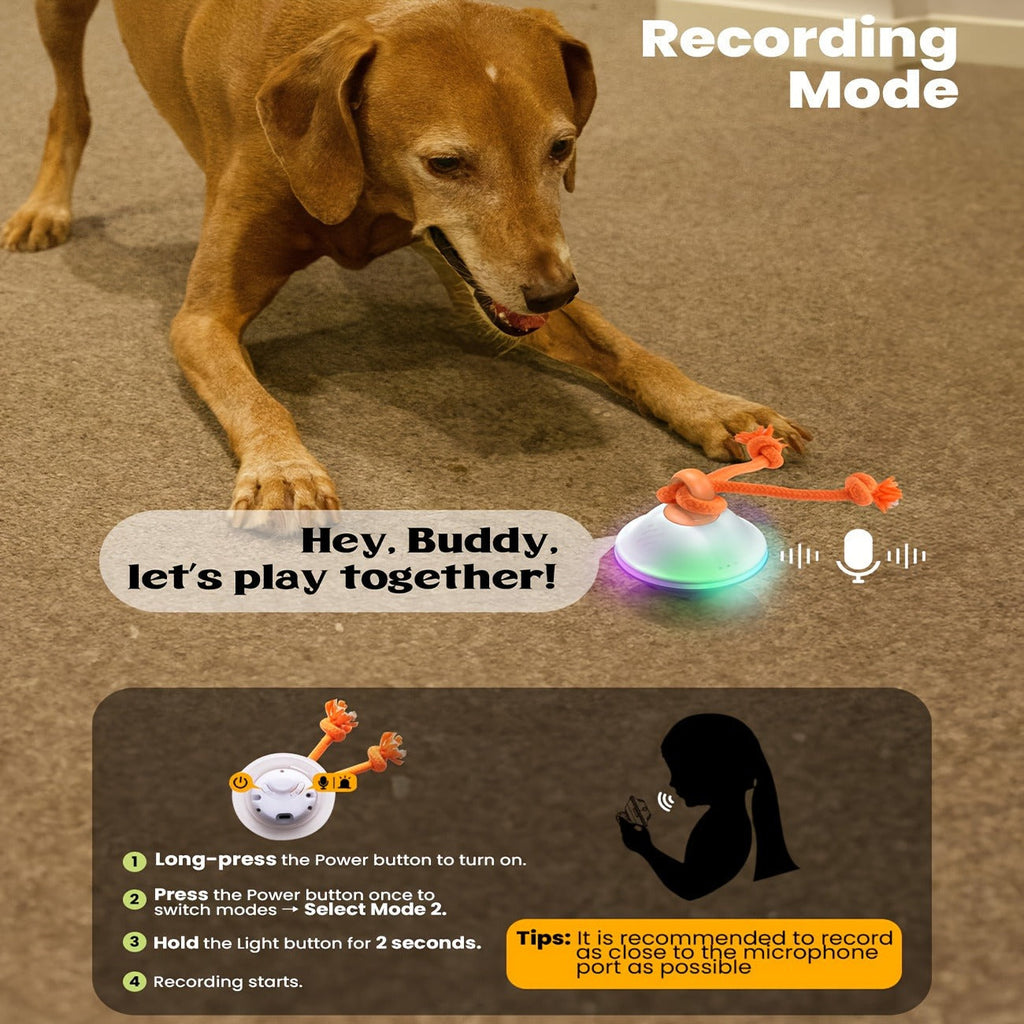 Dog Toy Motion-Activated Auto-Rolling Ball with Voice Recording, Rope and White or Gray Options — image 7
