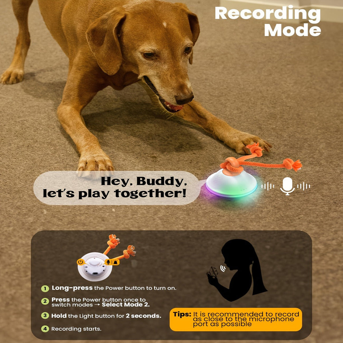 Dog Toy Motion-Activated Auto-Rolling Ball with Voice Recording, Rope and White or Gray Options — image 7