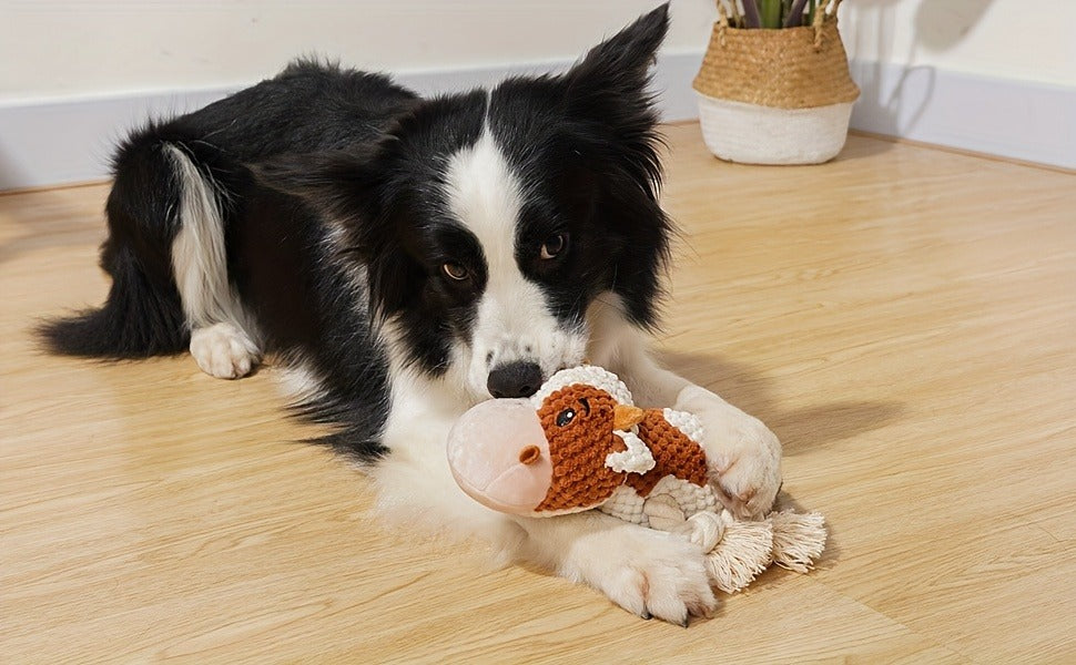 Dog Toy Cow Plush with Squeaker, Crinkle Paper, Woven Legs and Washable Construction for Multiple Dog Sizes — image 11