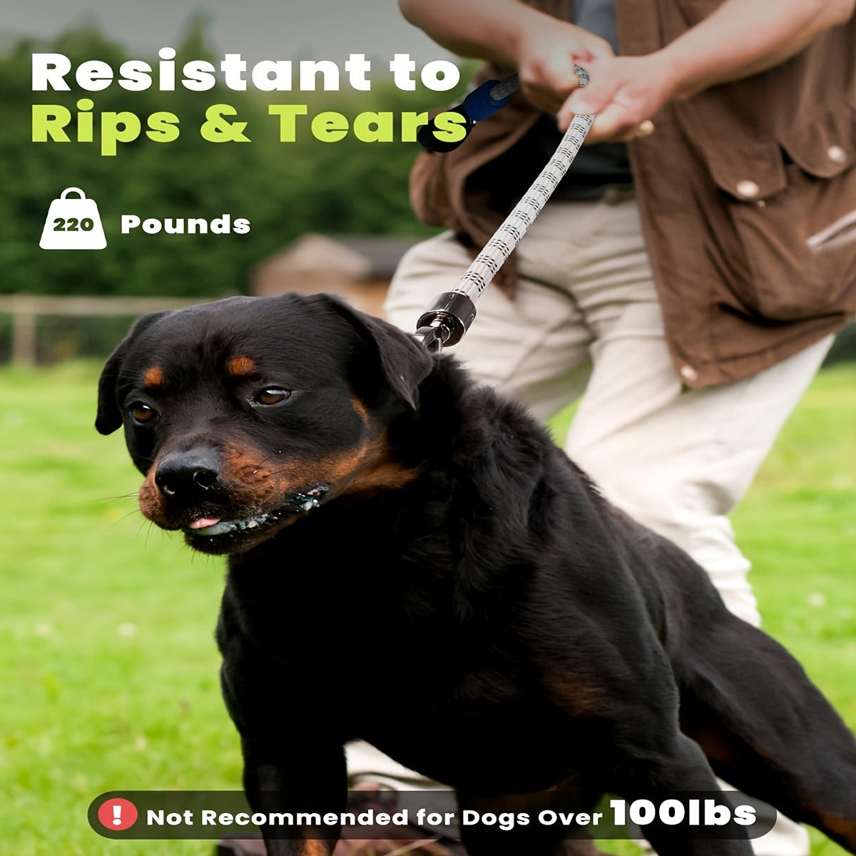 Four-Foot LED Dog Leash with Rechargeable Multicolor Light Strip, Rotating Hook and 13 Pictured Modes — image 5