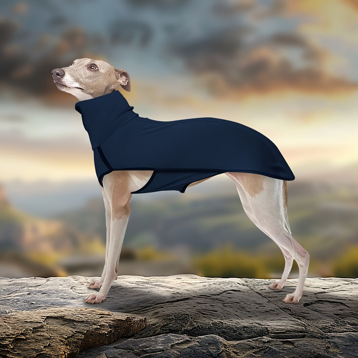 High-Neck Pullover Dog Coat in Burgundy, Navy or Fern Green with Selected XL Through 4XL Sizes — image 9