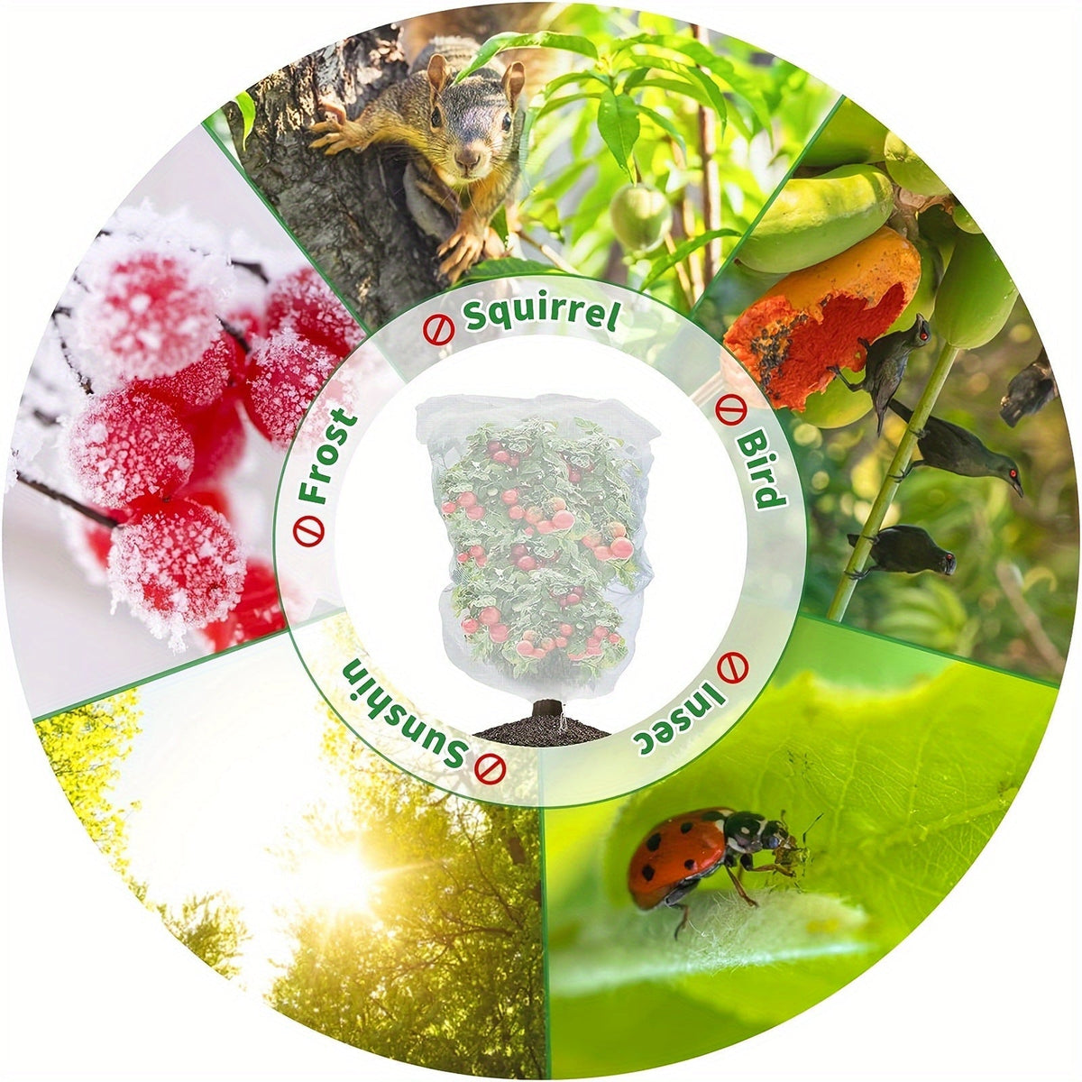 Garden Netting | Plant Protection Bags Drawstring Insect Bird Barrier — image 5