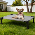 Elevated Mesh Dog Cot Bed with Folding-Leg Frame, Seven Colors and Four Labeled Sizes from 35 to 60 Inches — image 3